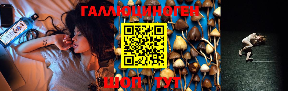 Кстово  Псилоцибиновые грибы мицелий  Вход с VPN 